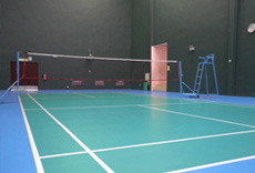 Badminton