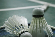 Badminton