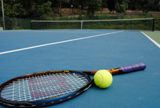 Indoor/Outdoor Tennis